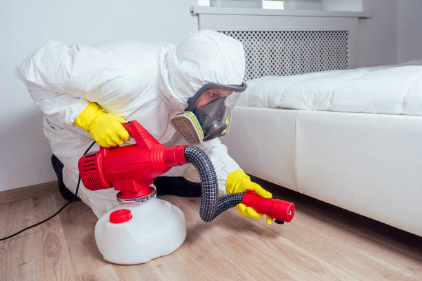 Best Ant Control Services  in Palo Alto, CA